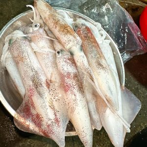 Mực Ống Tươi Size Trung